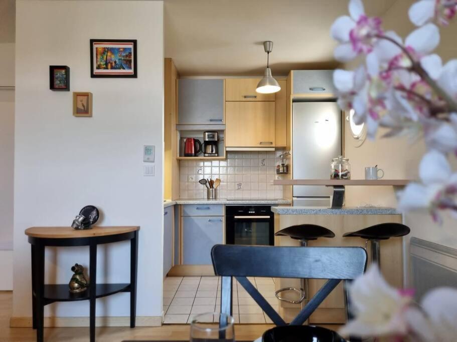 Appartement Cosy Centre Brie Comte Robert Εξωτερικό φωτογραφία